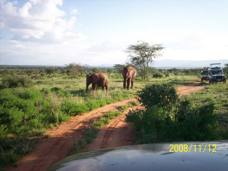 afrika1091.jpg